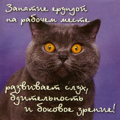 Магнит "Занятие ерундой на рабочем месте развивает " х 6 см Материал: пластик инфо 903d.