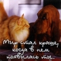Магнит "Мир стал краше, когда в нем появилась ты " х 6,5 см Материал: пластик инфо 1026d.