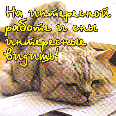 Магнит "На интересной работе и сны интересные видишь!" х 6 см Материал: пластик инфо 1118d.