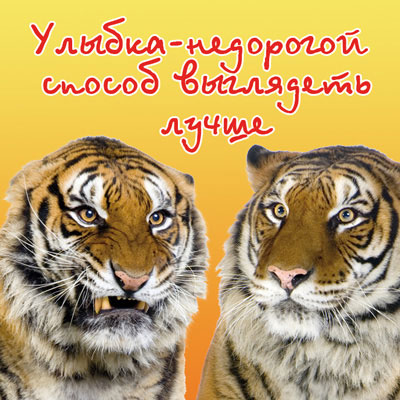 Магнит "Улыбка - недорогой способ выглядеть лучше!" пластик Изготовитель: Россия Артикул: М662 инфо 8077a.