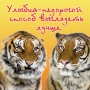 Магнит "Улыбка - недорогой способ выглядеть лучше!" пластик Изготовитель: Россия Артикул: М662 инфо 8077a.