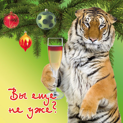 Магнитик Вы еще не уже? Магнит 2009 г инфо 8124a.